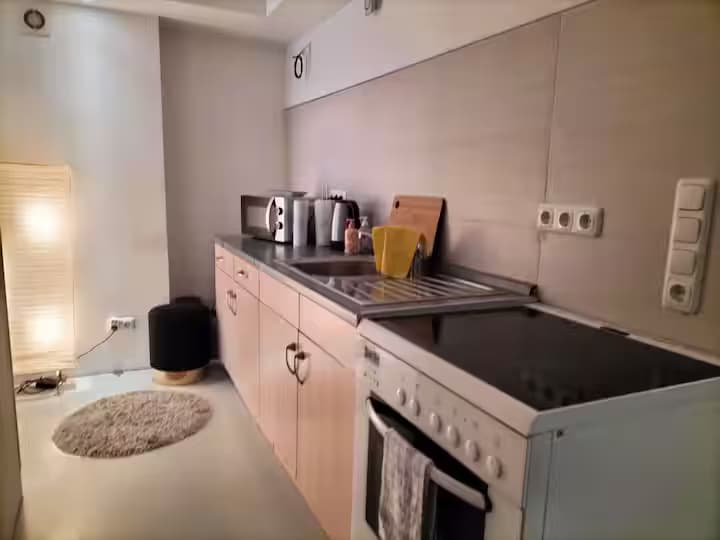 T-1 - Gemütliches 2 Zimmer Apartment in Trebur Bild 5