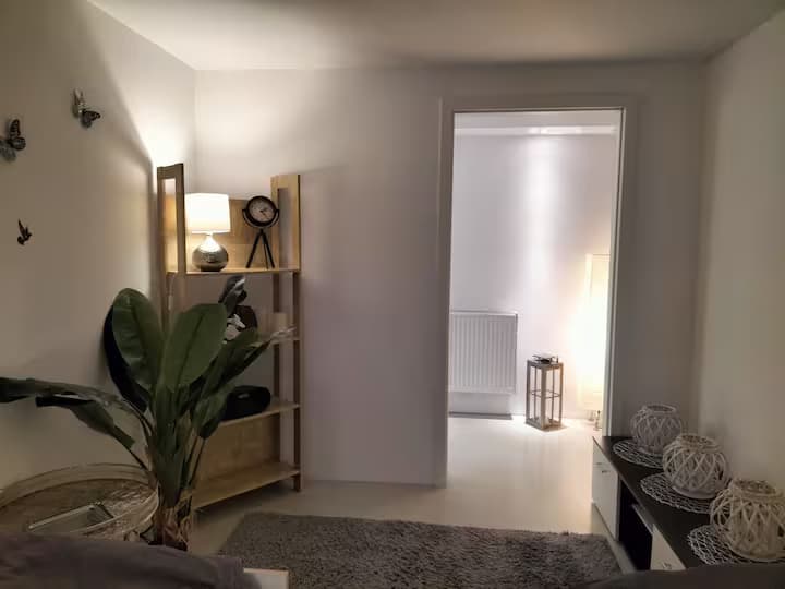 T-1 - Gemütliches 2 Zimmer Apartment in Trebur Bild 1